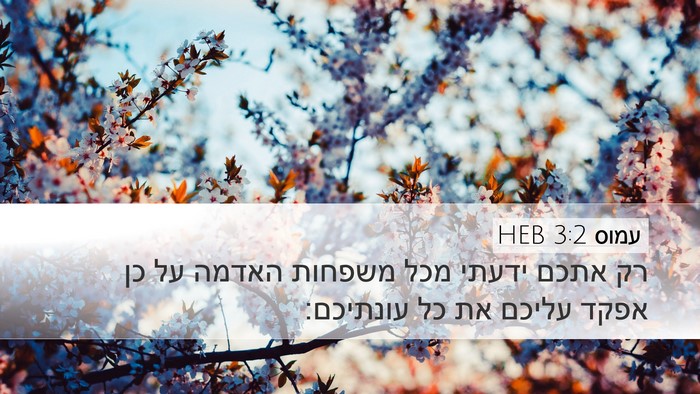 עמוס 3:2 HEB Bible Verse Image