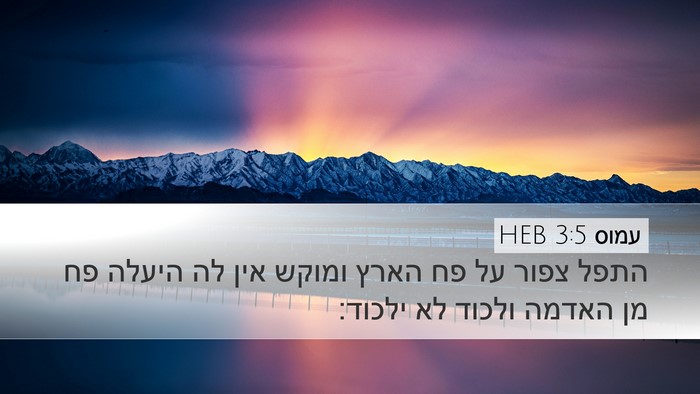 עמוס 3:5 HEB Bible Verse Image