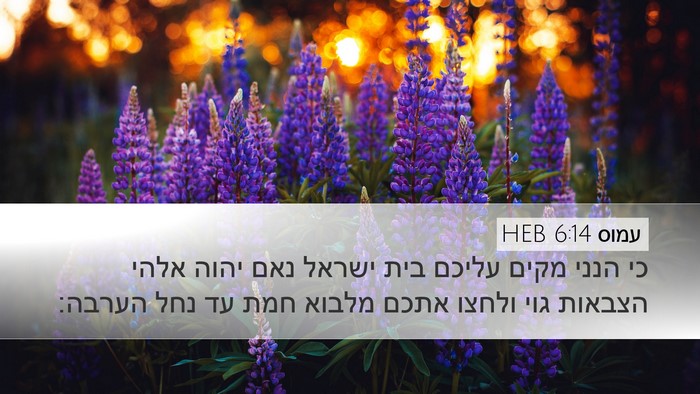 עמוס 6:14 HEB Bible Verse Image