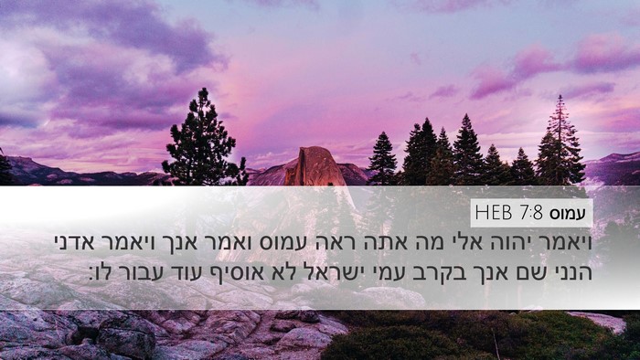 עמוס 7:8 HEB Bible Verse Image