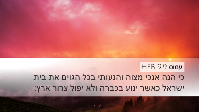 עמוס 9:9 HEB Bible Verse Image