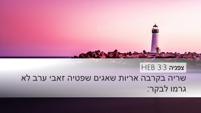 צפניה 3:3 HEB Bible Verse Image
