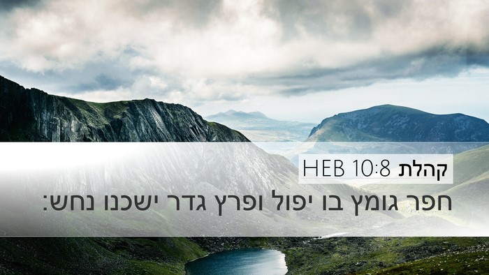 קהלת 10:8 HEB Desktop Wallpaper - חפר גומץ בו יפול ופרץ גדר - Desktop Bible Verse Wallpaper