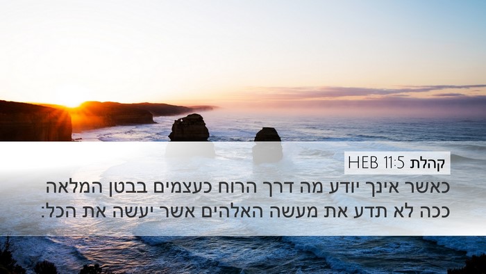 קהלת 11:5 HEB Bible Verse Image