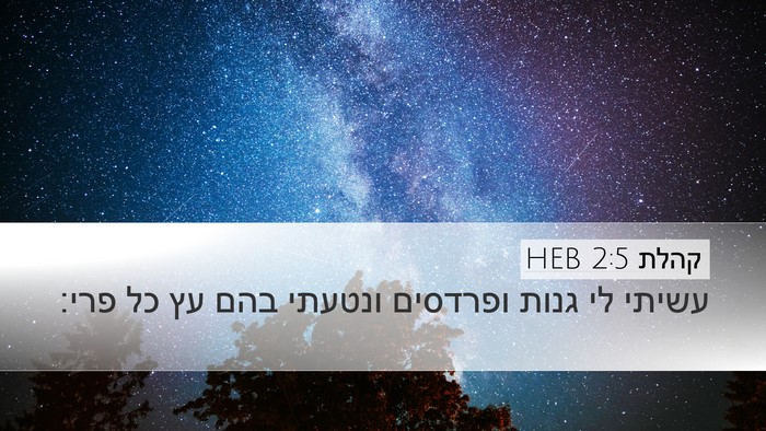 קהלת 2:5 HEB Desktop Wallpaper - עשיתי לי גנות ופרדסים - Desktop Bible Verse Wallpaper