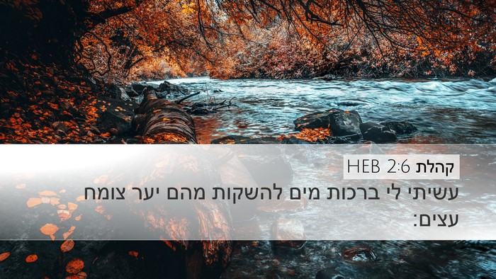 קהלת 2:6 HEB Desktop Wallpaper - עשיתי לי ברכות מים להשקות - Desktop Bible Verse Wallpaper