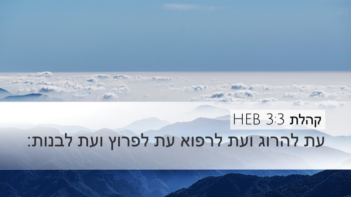 קהלת 3:3 HEB Desktop Wallpaper - עת להרוג ועת לרפוא עת לפרוץ - Desktop Bible Verse Wallpaper