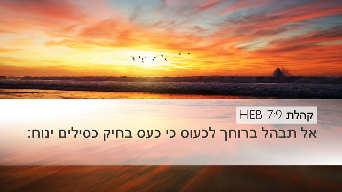 קהלת 7:9 HEB Bible Verse Image