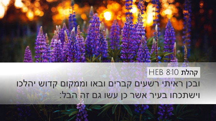 קהלת 8:10 HEB Desktop Wallpaper - ובכן ראיתי רשעים קברים - Desktop Bible Verse Wallpaper