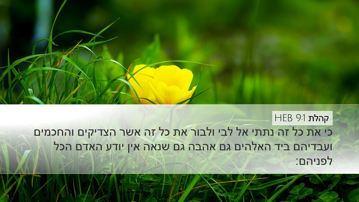 קהלת 9:1 HEB Bible Verse Image
