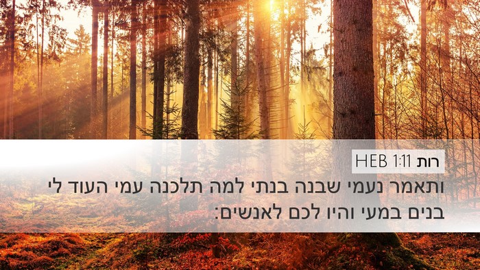 רות 1:11 HEB Bible Verse Image