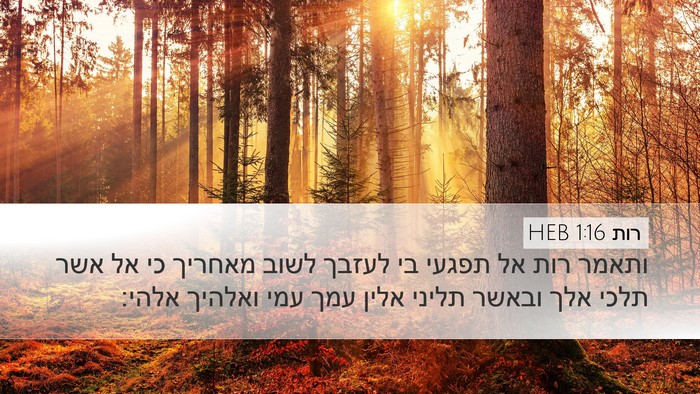 רות 1:16 HEB Bible Verse Image