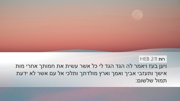 רות 2:11 HEB Desktop Wallpaper - ויען בעז ויאמר לה הגד הגד - Desktop Bible Verse Wallpaper