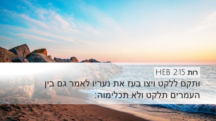 רות 2:15 HEB Desktop Wallpaper - ותקם ללקט ויצו בעז את נעריו - Desktop Bible Verse Wallpaper
