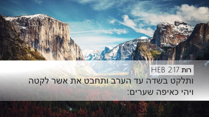 רות 2:17 HEB Desktop Wallpaper - ותלקט בשדה עד הערב ותחבט את - Desktop Bible Verse Wallpaper