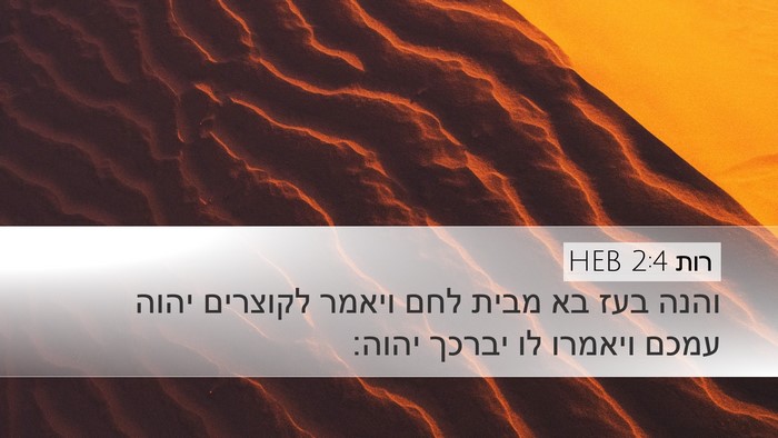 רות 2:4 HEB Bible Verse Image