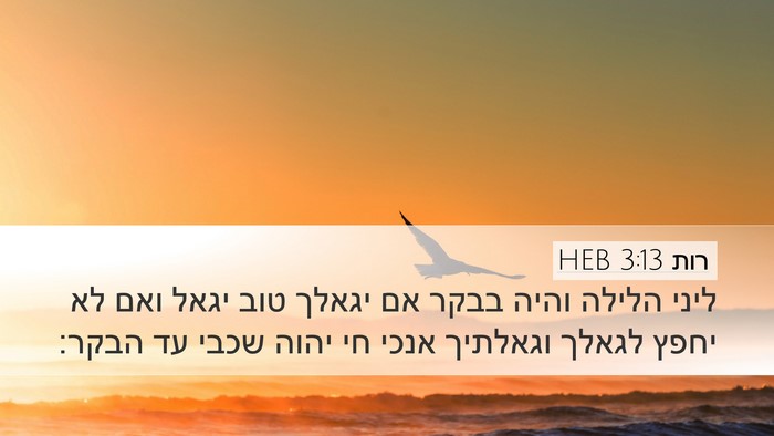 רות 3:13 HEB Desktop Wallpaper - ליני הלילה והיה בבקר אם - Desktop Bible Verse Wallpaper