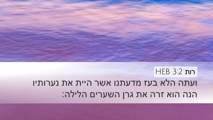 רות 3:2 HEB Desktop Wallpaper - ועתה הלא בעז מדעתנו אשר - Desktop Bible Verse Wallpaper