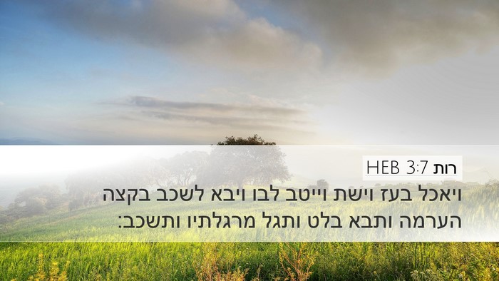 רות 3:7 HEB Desktop Wallpaper - ויאכל בעז וישת וייטב לבו - Desktop Bible Verse Wallpaper