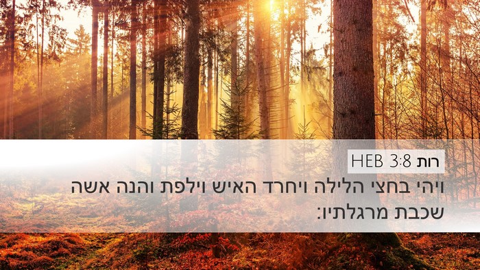 רות 3:8 HEB Desktop Wallpaper - ויהי בחצי הלילה ויחרד האיש - Desktop Bible Verse Wallpaper