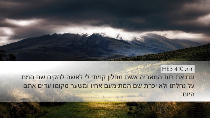 רות 4:10 HEB Desktop Wallpaper - וגם את רות המאביה אשת מחלון - Desktop Bible Verse Wallpaper