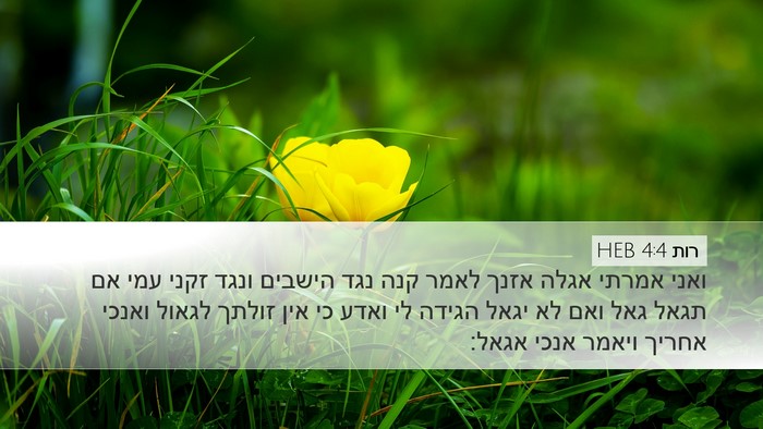 רות 4:4 HEB Desktop Wallpaper - ואני אמרתי אגלה אזנך לאמר - Desktop Bible Verse Wallpaper