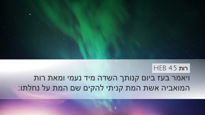 רות 4:5 HEB Bible Verse Image