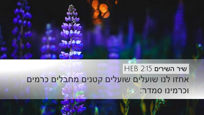 שיר השירים 2:15 HEB Bible Verse Image
