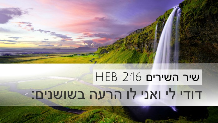 שיר השירים 2:16 HEB Bible Verse Image