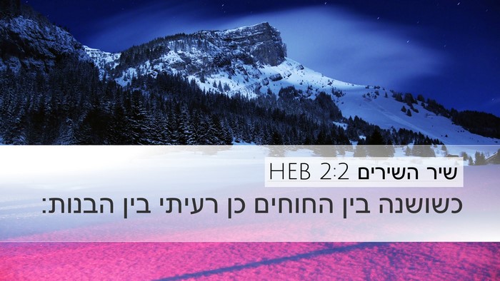 שיר השירים 2:2 HEB Bible Verse Image