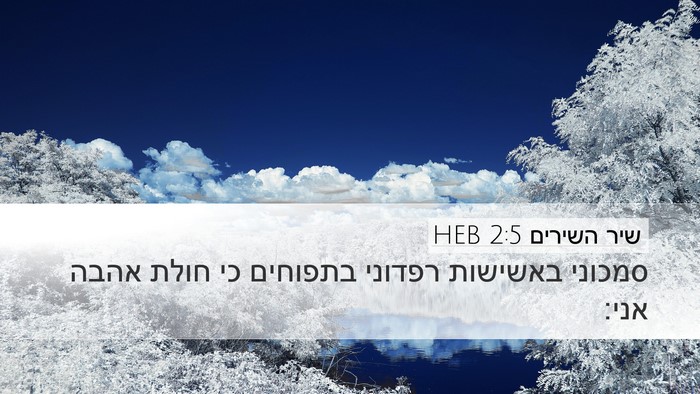 שיר השירים 2:5 HEB Bible Verse Image