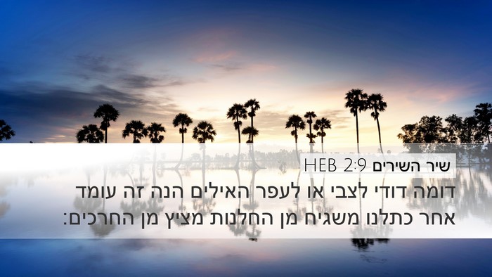 שיר השירים 2:9 HEB Bible Verse Image