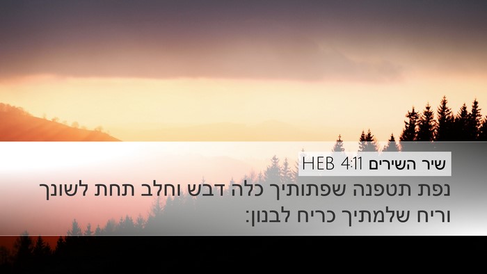 שיר השירים 4:11 HEB Bible Verse Image