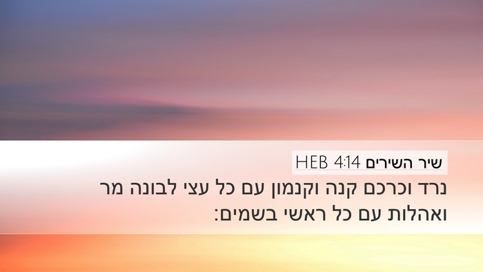 שיר השירים 4:14 HEB Bible Verse Image