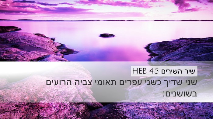 שיר השירים 4:5 HEB Bible Verse Image