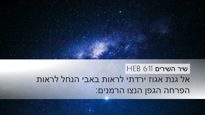 שיר השירים 6:11 HEB Bible Verse Image