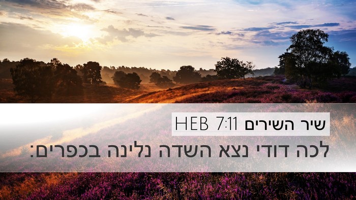 שיר השירים 7:11 HEB Bible Verse Image
