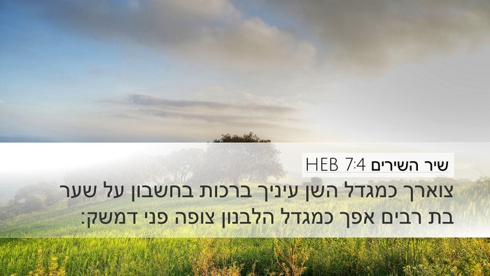 שיר השירים 7:4 HEB Bible Verse Image