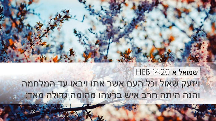שמואל א 14:20 HEB Bible Verse Image