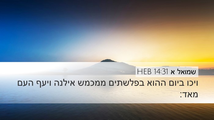 שמואל א 14:31 HEB Bible Verse Image