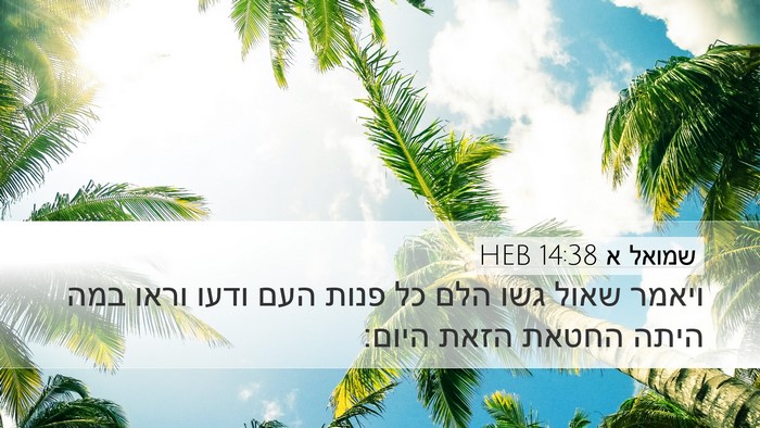 שמואל א 14:38 HEB Bible Verse Image