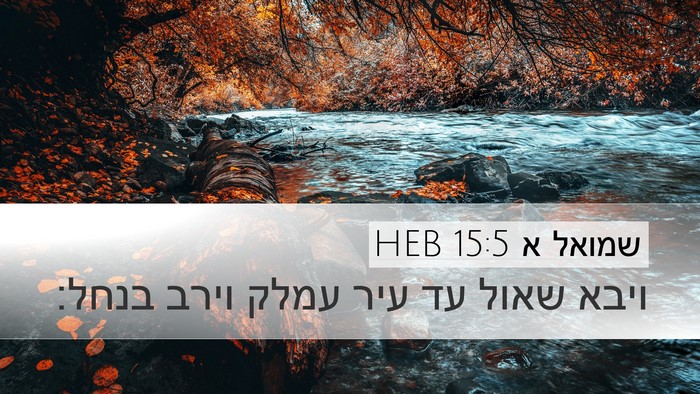 שמואל א 15:5 HEB Desktop Wallpaper - ויבא שאול עד עיר עמלק וירב - Desktop Bible Verse Wallpaper
