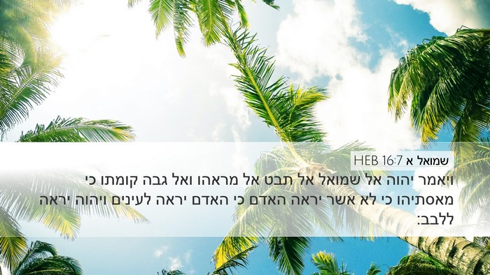 שמואל א 16:7 HEB Bible Verse Image