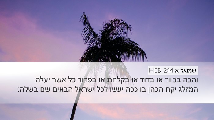 שמואל א 2:14 HEB Desktop Wallpaper - והכה בכיור או בדוד או בקלחת - Desktop Bible Verse Wallpaper
