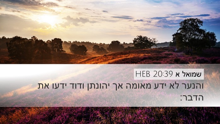 שמואל א 20:39 HEB Desktop Wallpaper - והנער לא ידע מאומה אך - Desktop Bible Verse Wallpaper