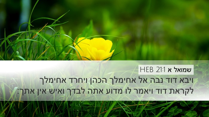 שמואל א 21:1 HEB Bible Verse Image