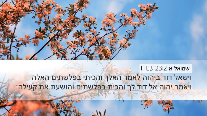 שמואל א 23:2 HEB Bible Verse Image