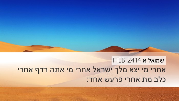 שמואל א 24:14 HEB Bible Verse Image