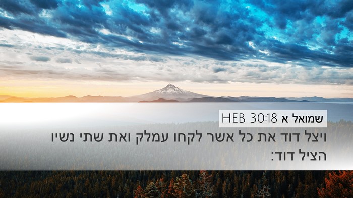 שמואל א 30:18 HEB Bible Verse Image