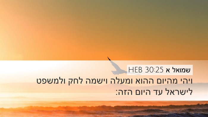 שמואל א 30:25 HEB Bible Verse Image